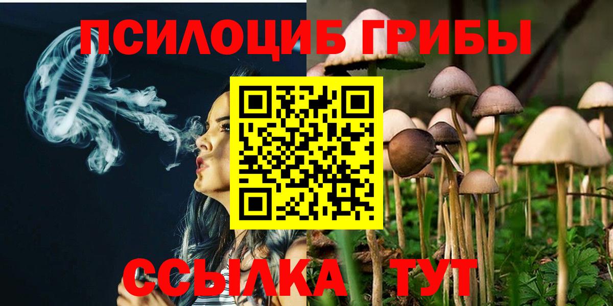ГАШИШ Гусиноозёрск