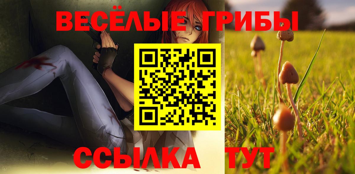 Галлюциногенные грибы мицелий Гусиноозёрск