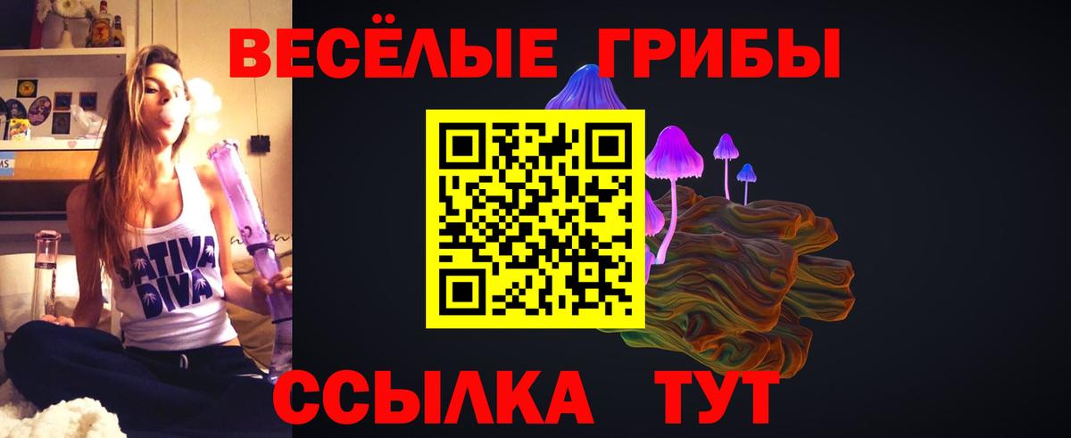 Псилоцибиновые грибы Magic Shrooms  Вход с VPN  Гусиноозёрск 
