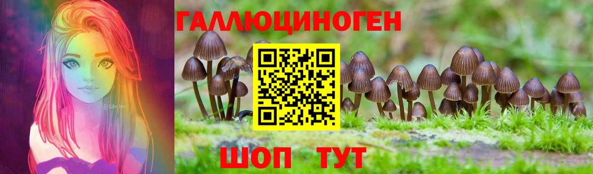 Галлюциногенные грибы MAGIC MUSHROOMS Гусиноозёрск